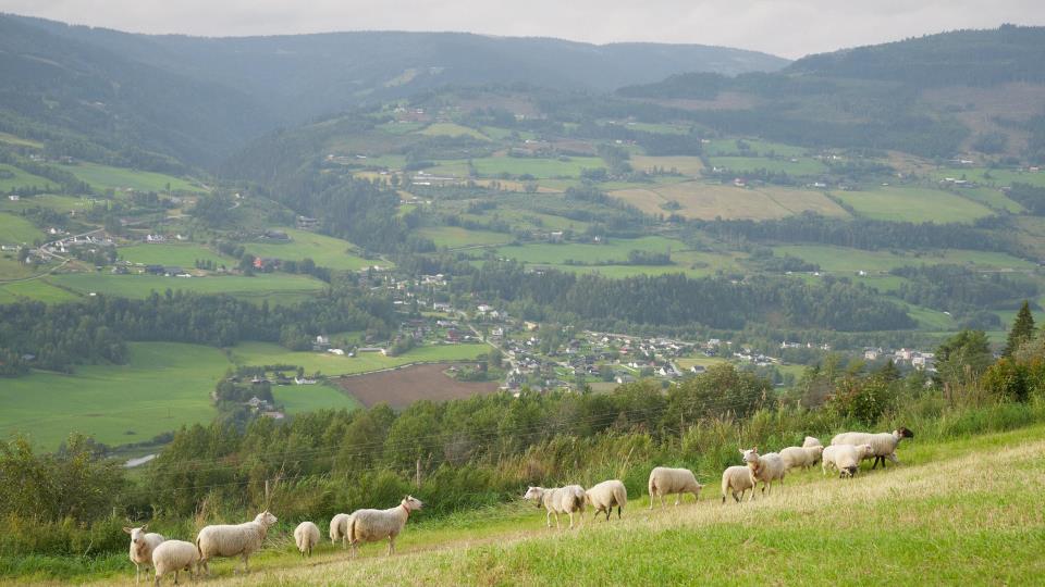 Lenkje til artikkel: Fjellnettverket krev større lokalt handlingsrom etter rådsmøte