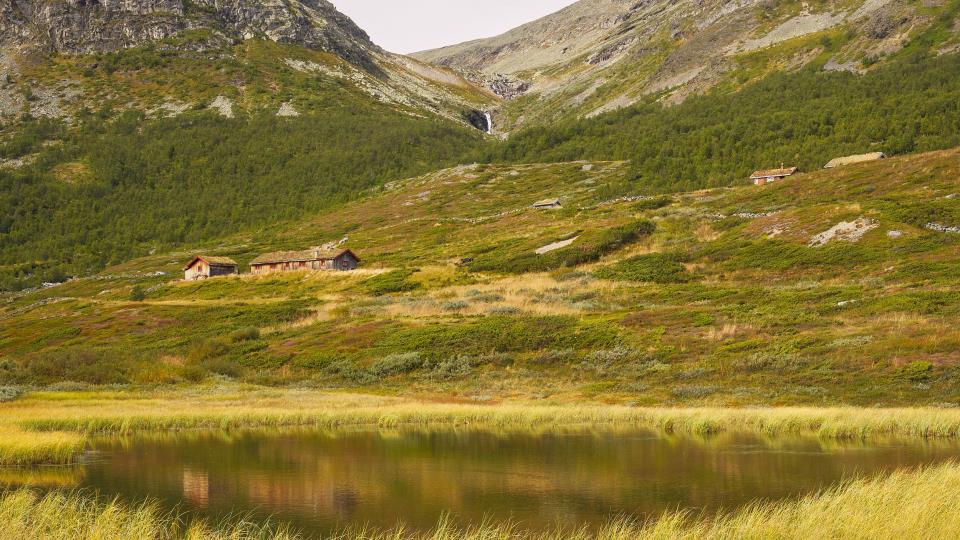 Lenkje til artikkel: Høyringssvar frå Fjellnettverket: Forslag om endring i plan og bygningsloven -Forbod mot bygging i myr 